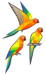 Stylized Parrots - Sun Parakeet