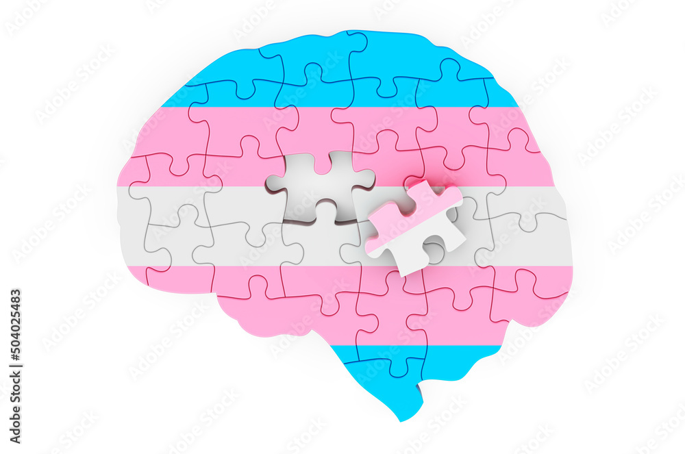 Poster transgender flag painted on the brain from puzzles. 3d rendering