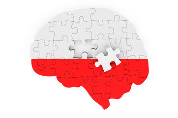Polish flag painted on the brain from puzzles. Scientific research and education in Poland concept, 3D rendering