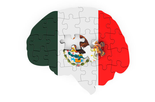 Mexican flag painted on the brain from puzzles. Scientific research and education in Mexico concept, 3D rendering
