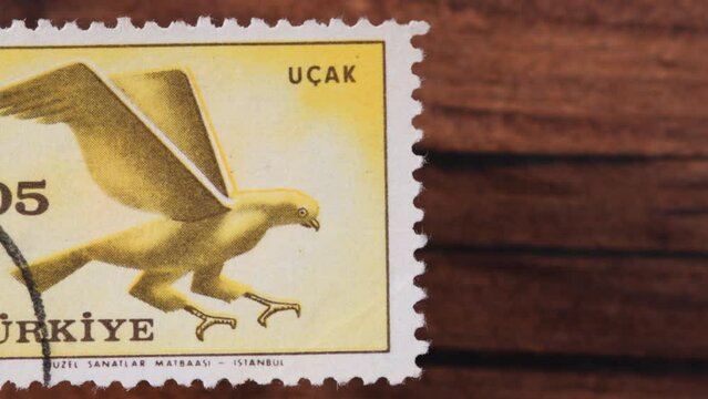 Cancelled postage stamp printed by Turkey shows Hawk, bird of prey. Airplane- airmail serie ephemera