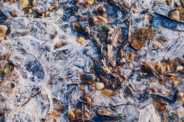 Thin ice in the morning on a rocky beach. Sunrise. Night frosts. Close view. Natural abstract texture. Changeable weather in spring.