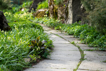 Decorative garden with pathway from stone back yard  grass with stony natural landscaping. Scenic...