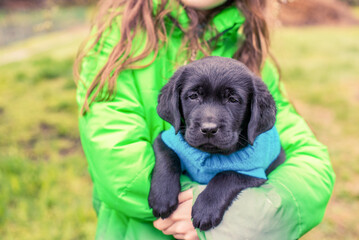 Labrador retriever in the arms of a girl in a green jacket. Black puppy.
