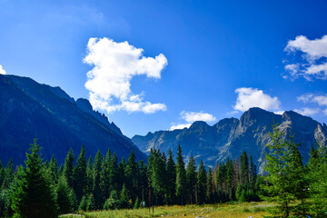 Fototapeta premium landscape with clouds
