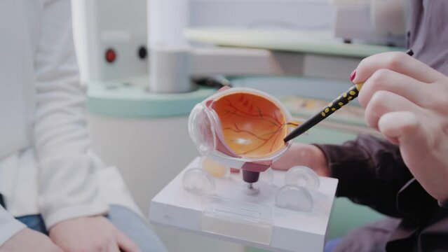 close up ophthalmologist showing the eye model to a patient during a medical consultation in the ophthalmologic office