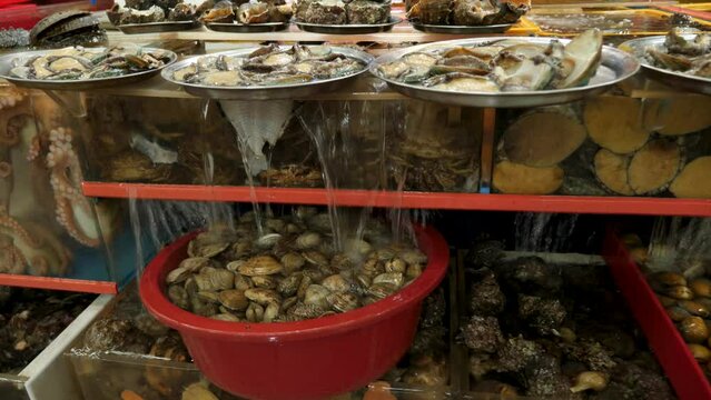 Jagalchi Fish Market with no tourist. Selling seashells. Busan, South Korea. High quality 4k footage. 