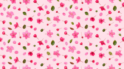 Seamless floral pattern of apple tree flowers buds leaves and petals on pink background flat lay top view