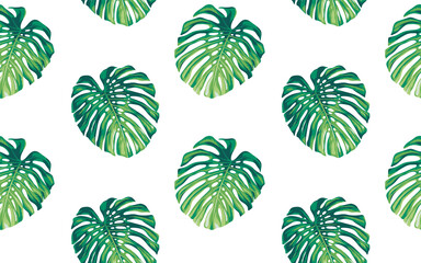 Seamless pattern with monstera leaves in realistic style. Exotic plants. Vector botanical illustration. Foliage background for wallpaper, textile, wrapping paper and greeting card.