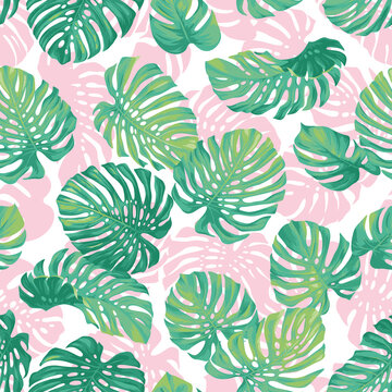 Seamless pattern with monstera leaves in realistic style. Exotic plants. Vector botanical illustration. Foliage background for wallpaper, textile, wrapping paper and greeting card.
