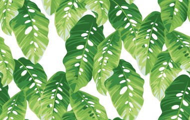 Seamless pattern with tropical leaves in realistic style. Exotic plants. Vector botanical illustration. Foliage background for cards.