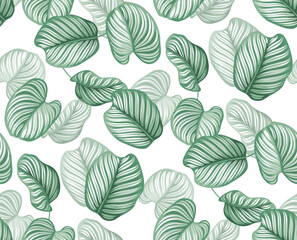 Seamless pattern with tropical leaves in realistic style. Exotic plants. Vector botanical illustration. Foliage background for cards.