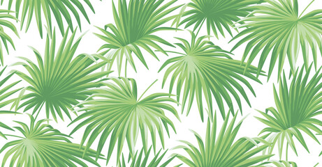 Seamless pattern with tropical palm leaves in realistic style. Exotic plants. Vector botanical illustration. Foliage background for wallpaper, textile, wrapping paper and greeting card.
