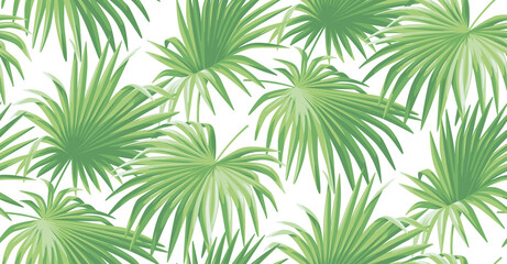 Fototapeta premium Seamless pattern with tropical palm leaves in realistic style. Exotic plants. Vector botanical illustration. Foliage background for wallpaper, textile, wrapping paper and greeting card.