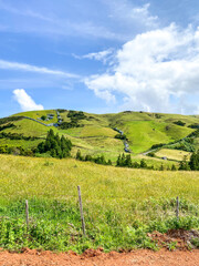Pastos verdejantes na ilha de São Jorge, Açores