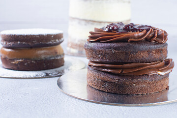 Variety of cakes, chocolate, vanilla flavors on gray background