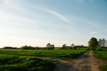 Obraz premium droga, niebo, pole