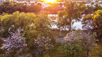 Culiac&aacute;n, Sinaloa