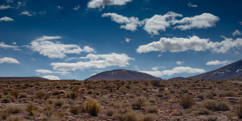desierto de atacama