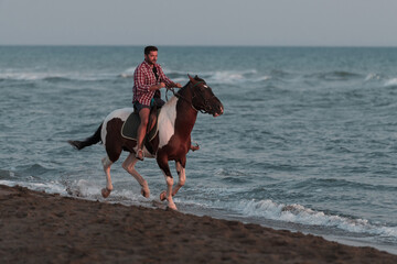 A modern man in summer clothes enjoys riding a horse on a beautiful sandy beach at sunset....