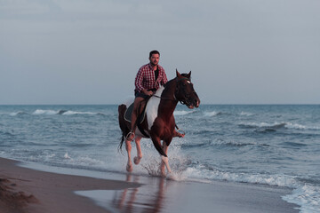 A modern man in summer clothes enjoys riding a horse on a beautiful sandy beach at sunset....