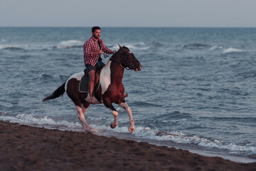 A modern man in summer clothes enjoys riding a horse on a beautiful sandy beach at sunset....
