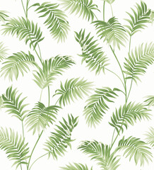 Fototapeta na wymiar Seamless pattern with tropical plants. Foliage background. Palm leaves in realistic style. Vector botanical illustration. Hawaiian summer design.