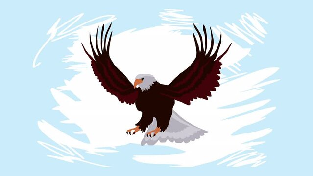 real eagle flying animal animation