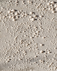 A bubbling mudpot in Yellowstone National Park.