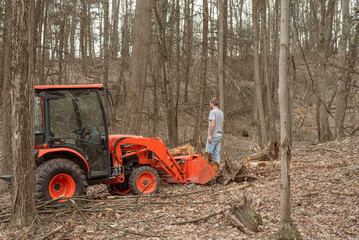 Young man looking at logs beside tractor in woods
