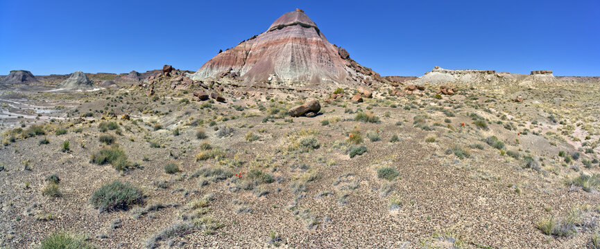 Panorama of Martha's Butte at Petrified Forest AZ