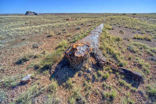 Trail to Martha's Butte in Petrified Forest Az