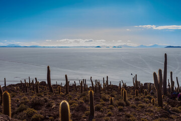 Vista Panoramica Salar