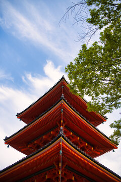Multi-story pagoda in a park in Kyoto, Japan with a tree arching into the picture. 