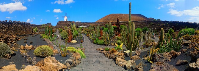 Panorámica del Jardin de Cactus en Lanzarote  © Karim