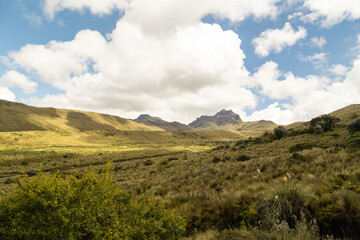 Fototapeta na wymiar majestic landscape on a sunny day, with mountains surrounded by nature, sky with clouds, natural tourist destination in Ecuador, Latin America, flora