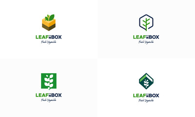 Set of Vegetable Box logo designs concept vector, Nature Box logo designs icon, Nutrition Box logo symbol