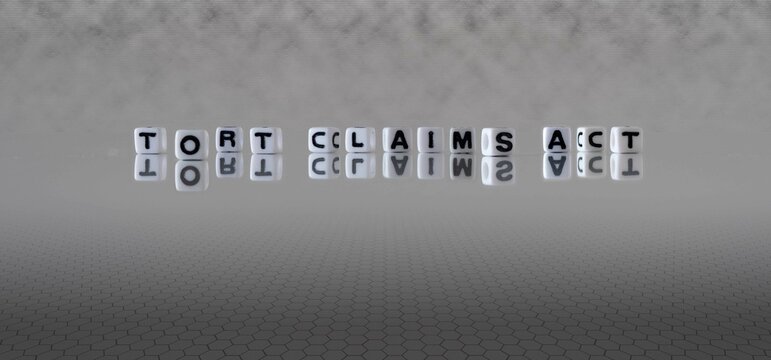 tort claims act word or concept represented by black and white letter cubes on a grey horizon background stretching to infinity