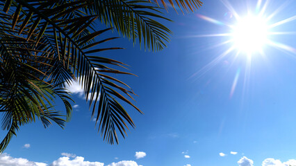 Fototapeta na wymiar Coconut tree foliage on blue sky background and summer sun. 3D rendering