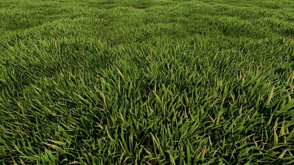 Green grass background. 3D rendering