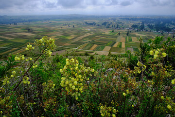 Fototapeta na wymiar Scenario of agricultural crops in the Mantaro Valley, view from the Arwaturo viewpoint