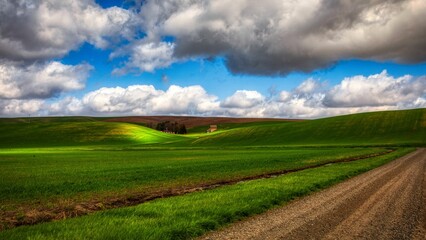 Naklejka premium Palouse barn with sunlight