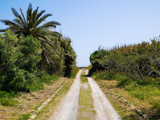 芥屋の大門の海風景　福岡県　糸島