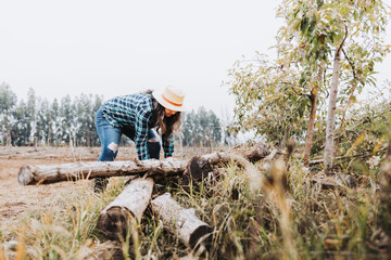 Young latin peasant woman moving wooden logs on a cloudy day.