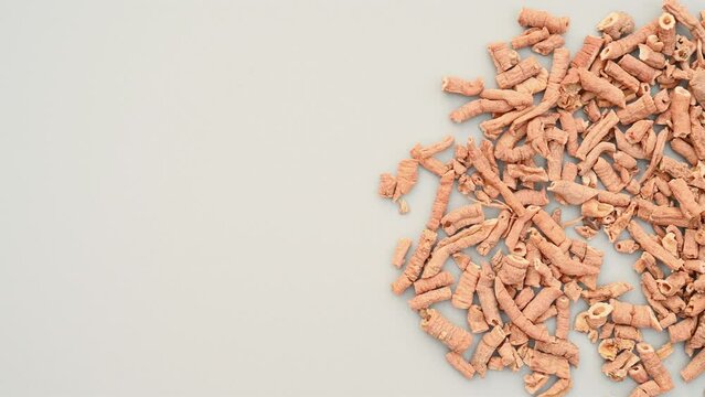 top pan herb YuanZhi or Polygalae Radix or Thinleaf Milkwort Willd.