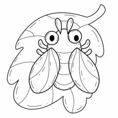 animals coloring book alphabet. Isolated on white background. Vector cartoon cicada.