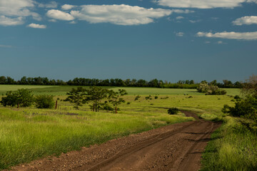 Fototapeta premium Dirt road among fields and steppes on a sunny summer day.