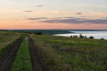 Fototapeta na wymiar Dirt road among fields and steppes on the bank of the estuary at sunset. Blooming sage flowers.