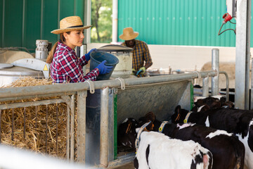 Smiling young Hispanic woman working on livestock farm, feeding calves in stall outdoors