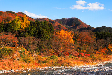 群馬県の諏訪峡の秋の紅葉風景 